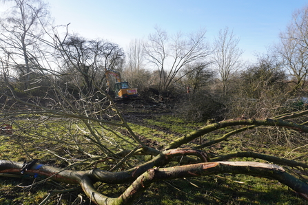 Clearing vegetation from around works bridge