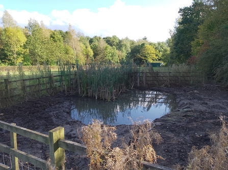 Meadow pond with a traditional wooden rail fence around it.