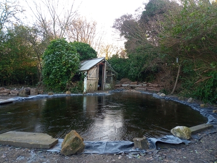 A frozen pond on an allotment