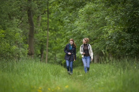 wild walk people