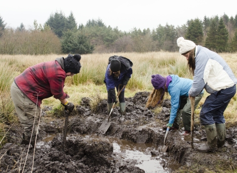 Digging pond Wildnet wildlifetrusts_40575572531