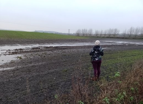 Lena inspecting the Bevercotes Beck floodplain for the 3 Rivers project