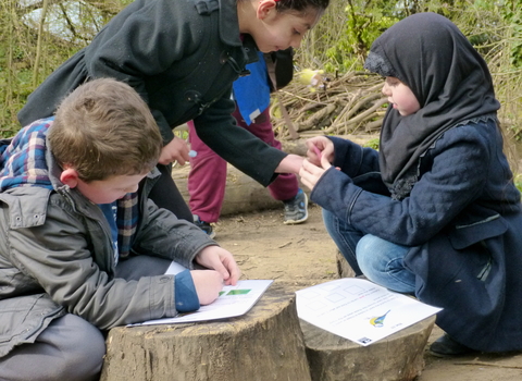 Schools and community groups at Attenborough | Nottinghamshire Wildlife ...