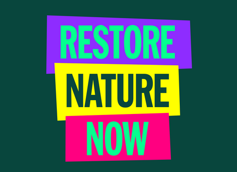 Restore Nature Now