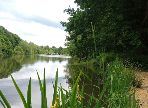 The lake at Vicar Water